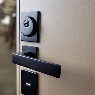 Двухсистемный замок